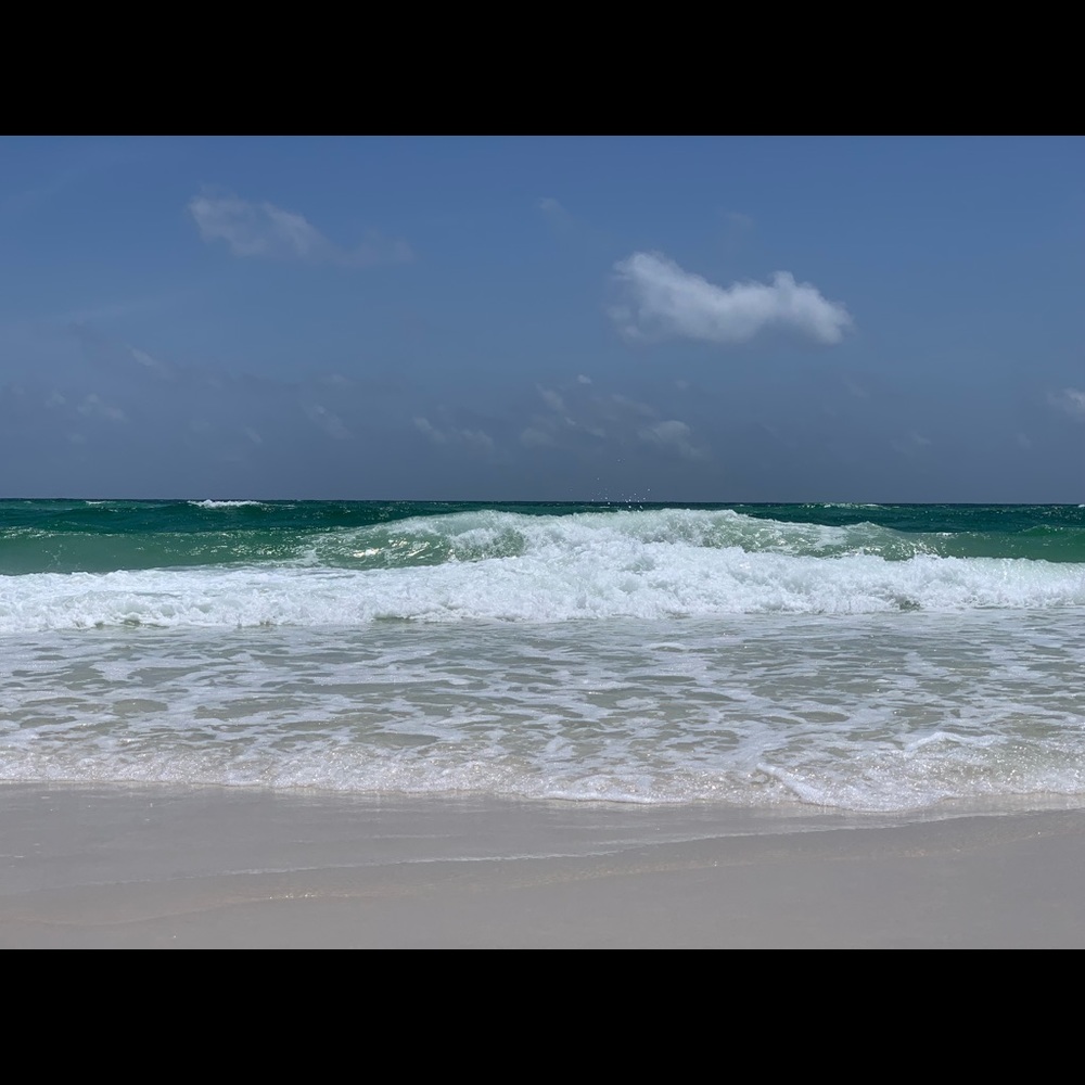 Meet your Posher, Caroline